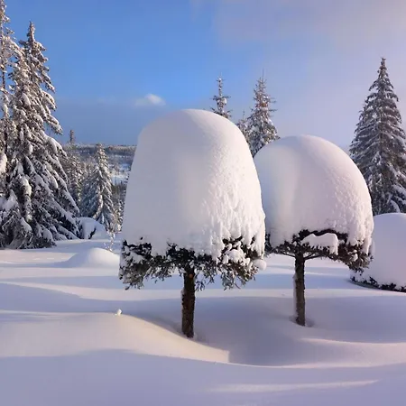 Lunette Appartement *